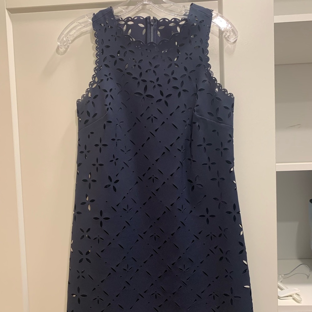 Navy Jcrew Shift Dress